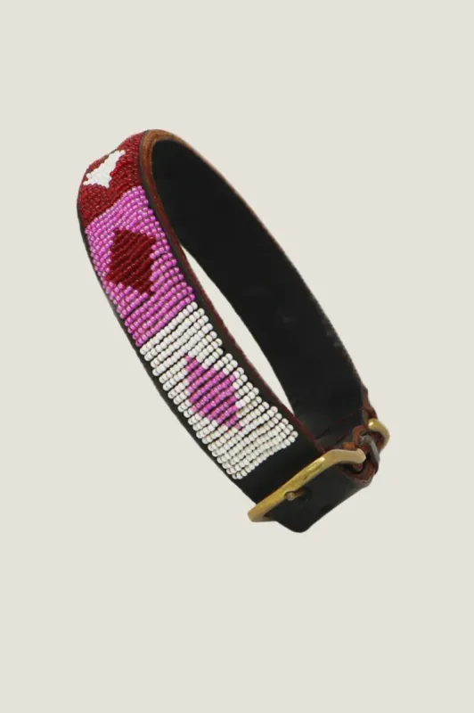 Aspiga Dog Collar in Diamond Pink