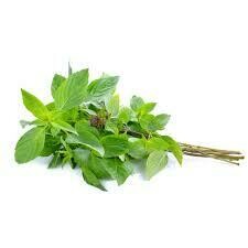 Italian Genovese Basil  - 50g