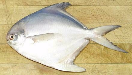 White Pomfret /Safaid Paplet - (Approx 4-5 Pcs/Kg) - Subject to availability, Please check before ordering.