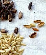 Pine Nuts without Shell - 250g