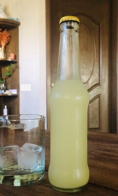 Ginger Ale - Lacto Fermented - 260ml