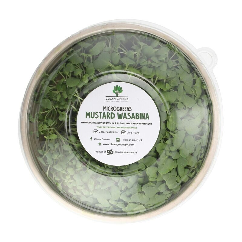 Mustard Wasabina - 100g