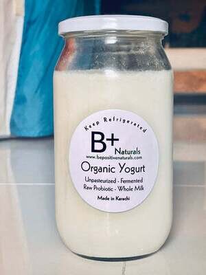 Organic Plain Yogurt - 1000ml