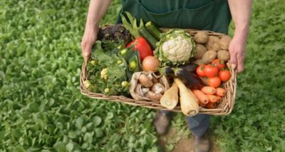 Farm Vegetables