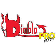 Diablo Pro Elite 14 mois
