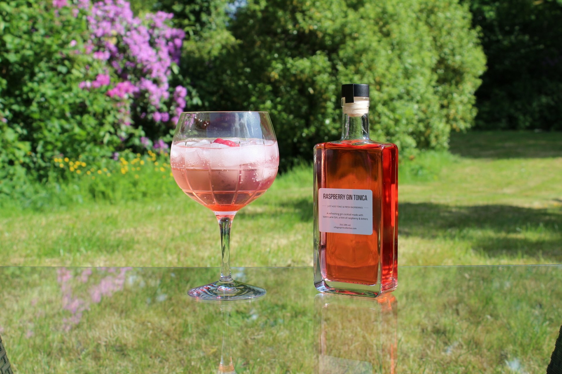 Raspberry Gin Liqueur (35cl) & Tonic Set