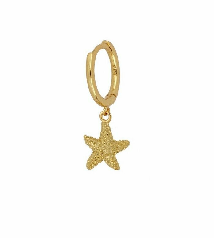Estrellita de mar