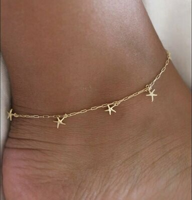Estrella de mar
