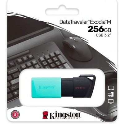 Флеш Диск Kingston 256Gb DataTraveler DTXM DTXM/256GB USB3.2 черный/зеленый