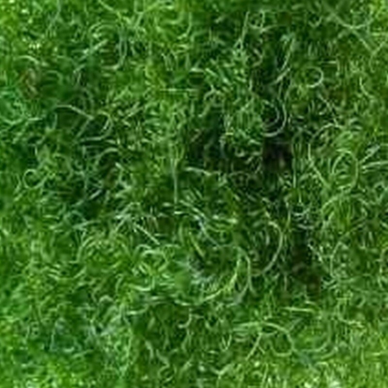 Chaetomorpha Linum 2 Oz