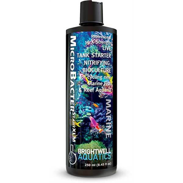 Brightwell Aquatics MicroBacter StartXLM