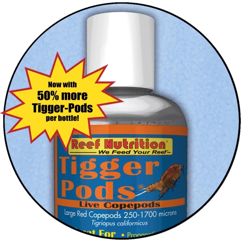 Reef Nutrition LIVE Tigger Pods 6oz