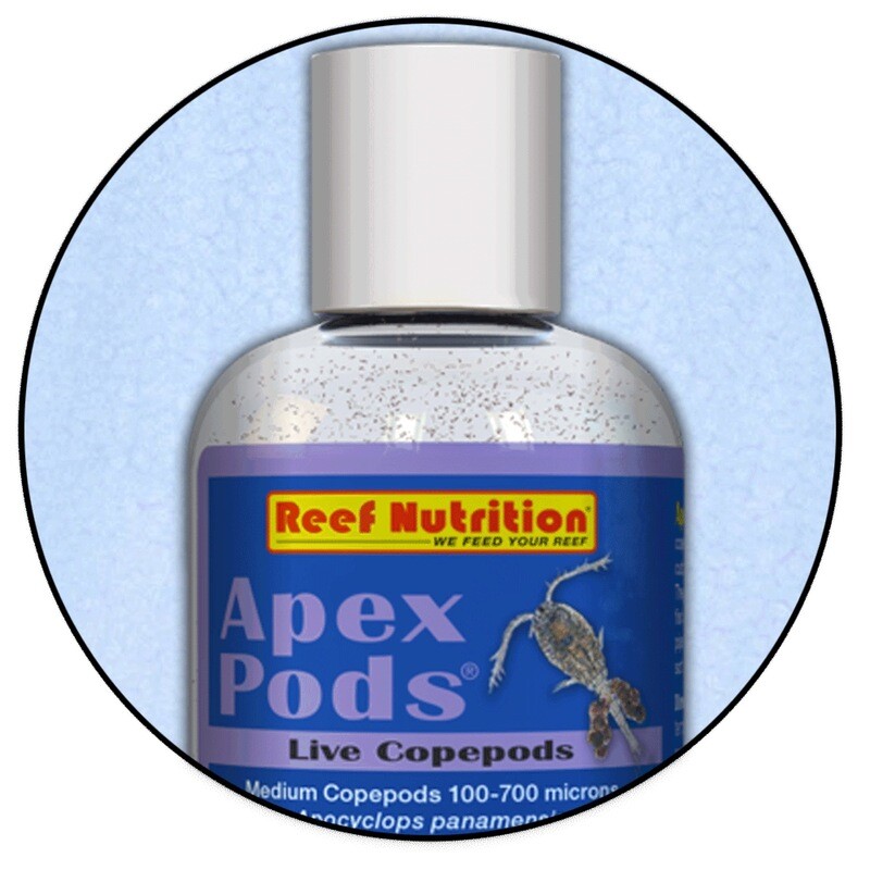 Reef Nutrition LIVE Apex Pods 6oz