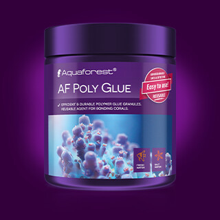 Aquaforest Poly Glue 250ml