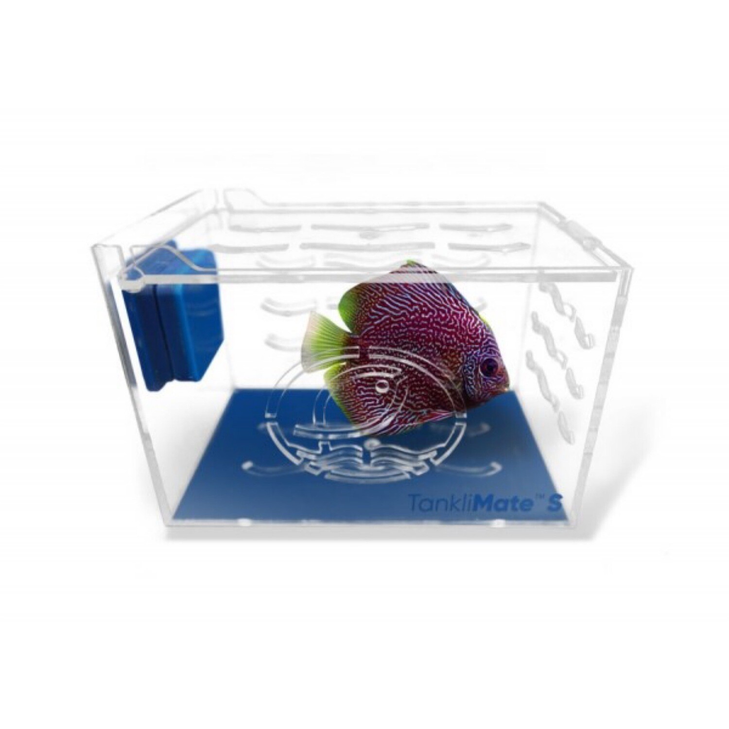 Eshopps TankliMate Acclimation Box Nano 6x4x4