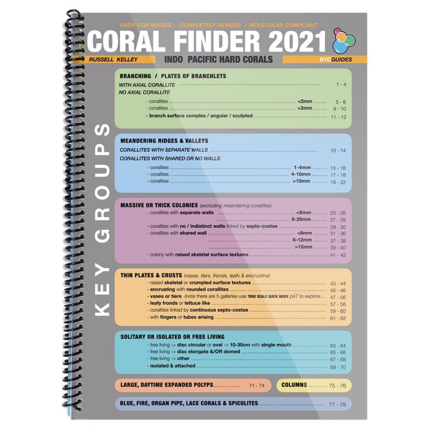 Coral Finder 2021