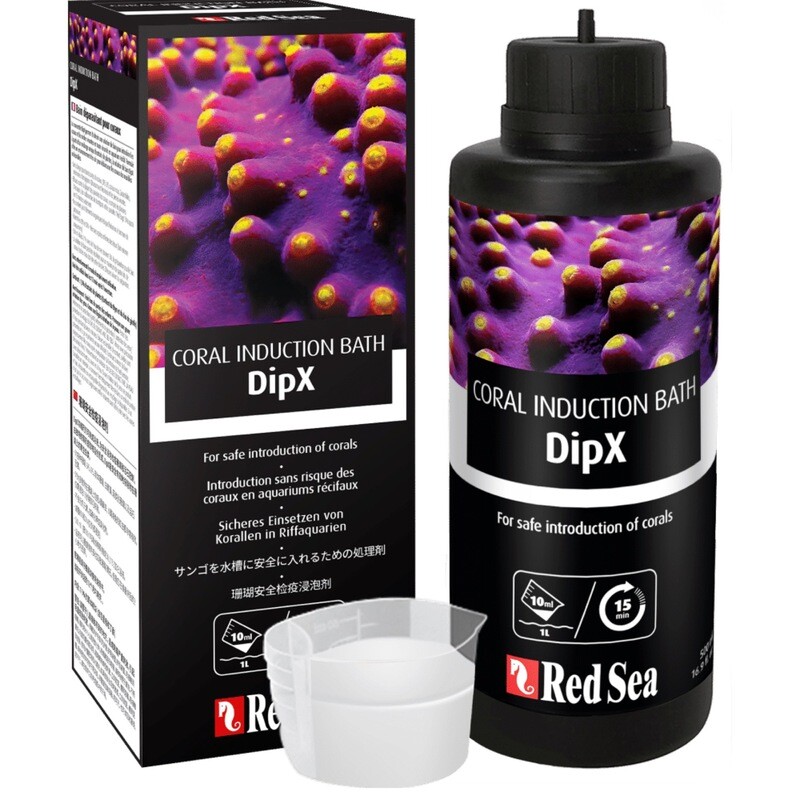 Red Sea Coral DipX