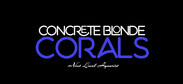 Concrete Blonde Corals