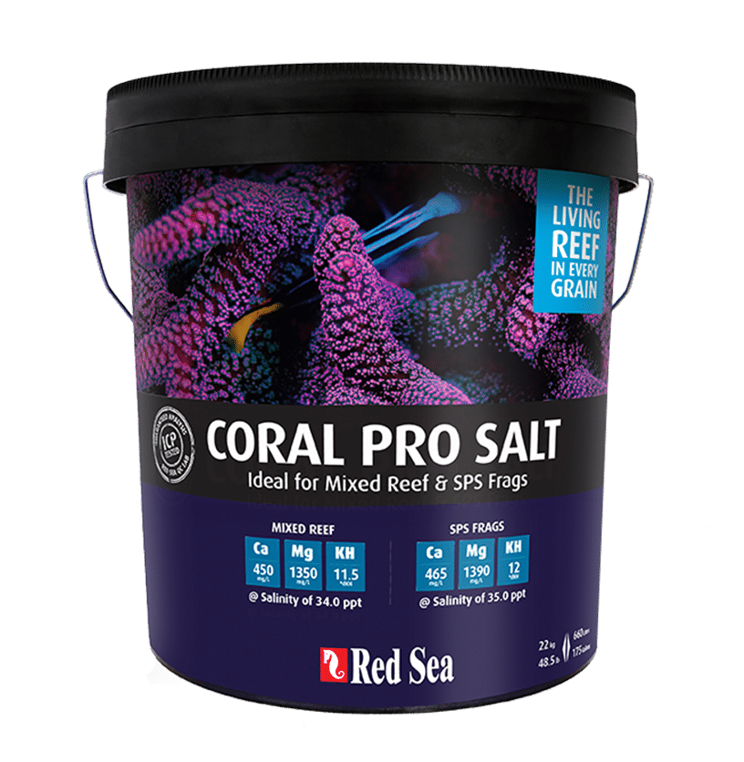Red Sea Coral Pro Salt, Size: Pail 55 gl