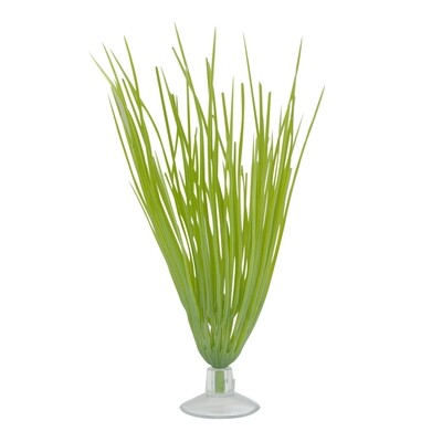 Marina Betta Kit Hairgrass Plant With Suction Cup - 12.7 cm (5in)