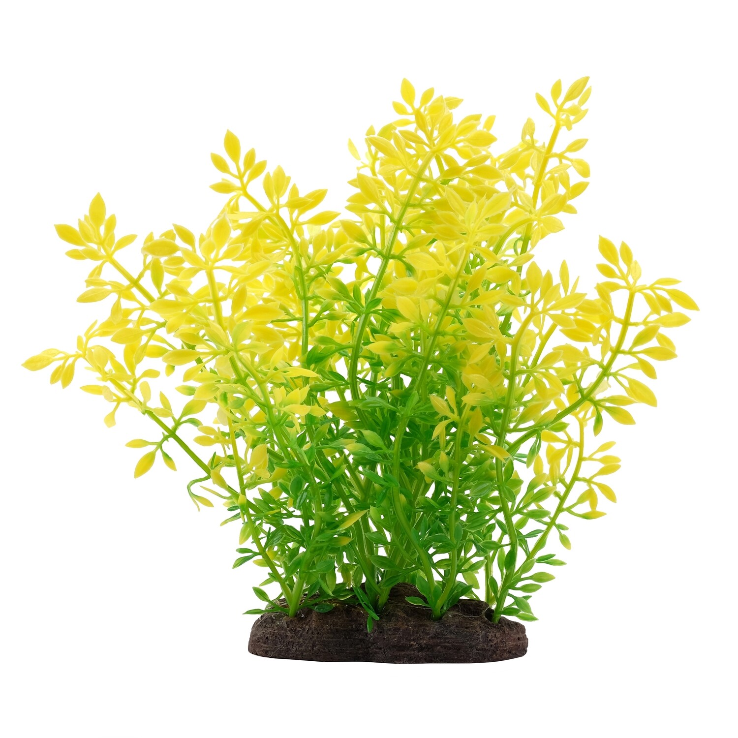 Fluval Aqualife Plant Scapes Sunrise Water Violet Plant - 20 cm (8 in)