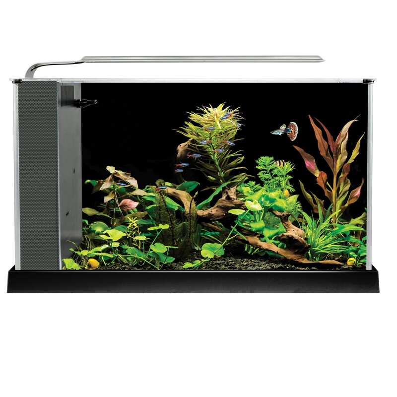Fluval Spec Aquarium Kit - Black - 19 L (5 US gal) Fluval Spec Aquarium Kit - Black - 19 L (5 US gal)