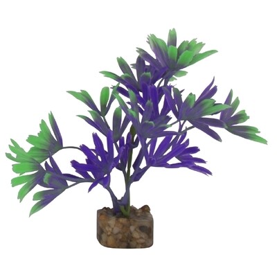 GloFish Plant Small Purple/Green