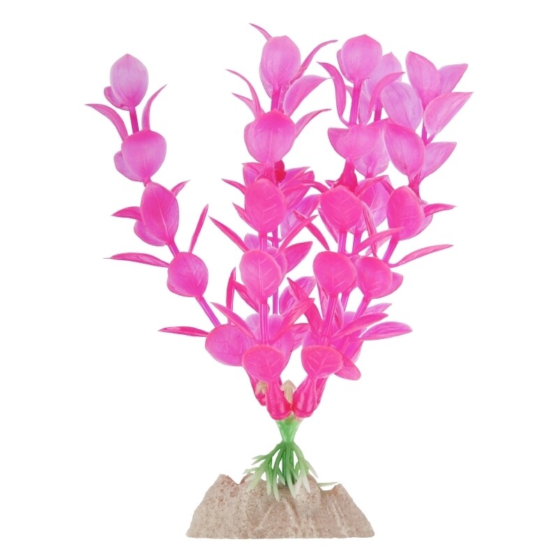 GloFish Plant Medium Pink