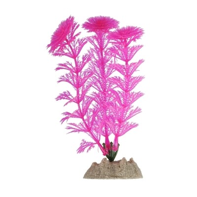 GloFish Plant Small Pink
