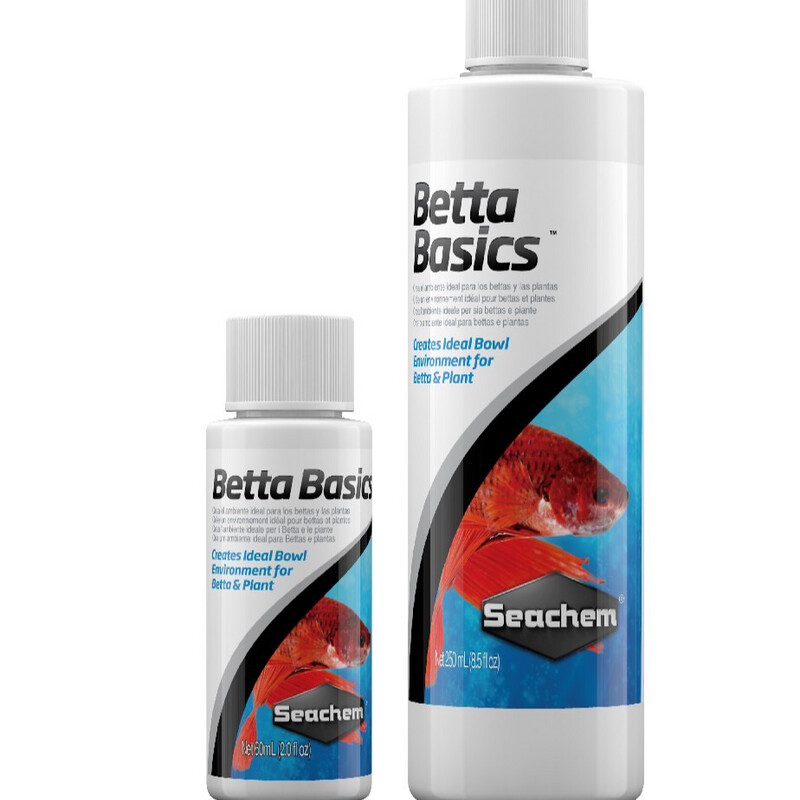 Betta Basics