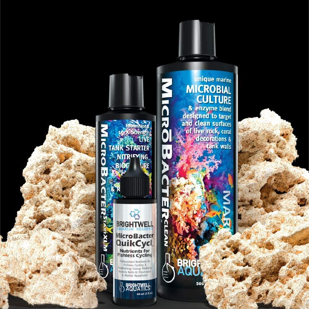 Brightwell Aquatics MicroBacter Dry Rock Bacteria Starter kit