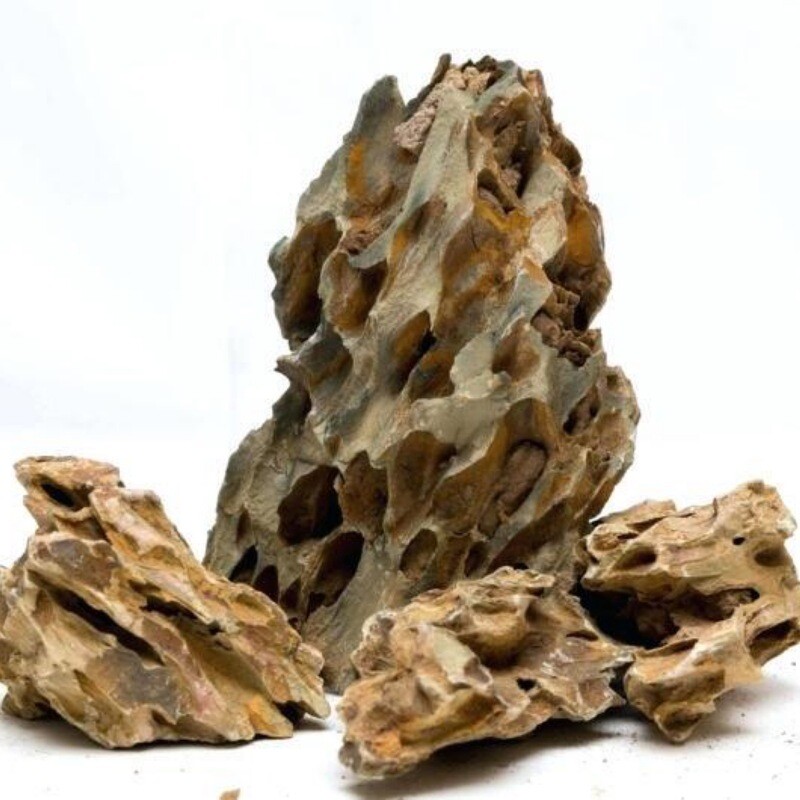 Dragon Stone Rock