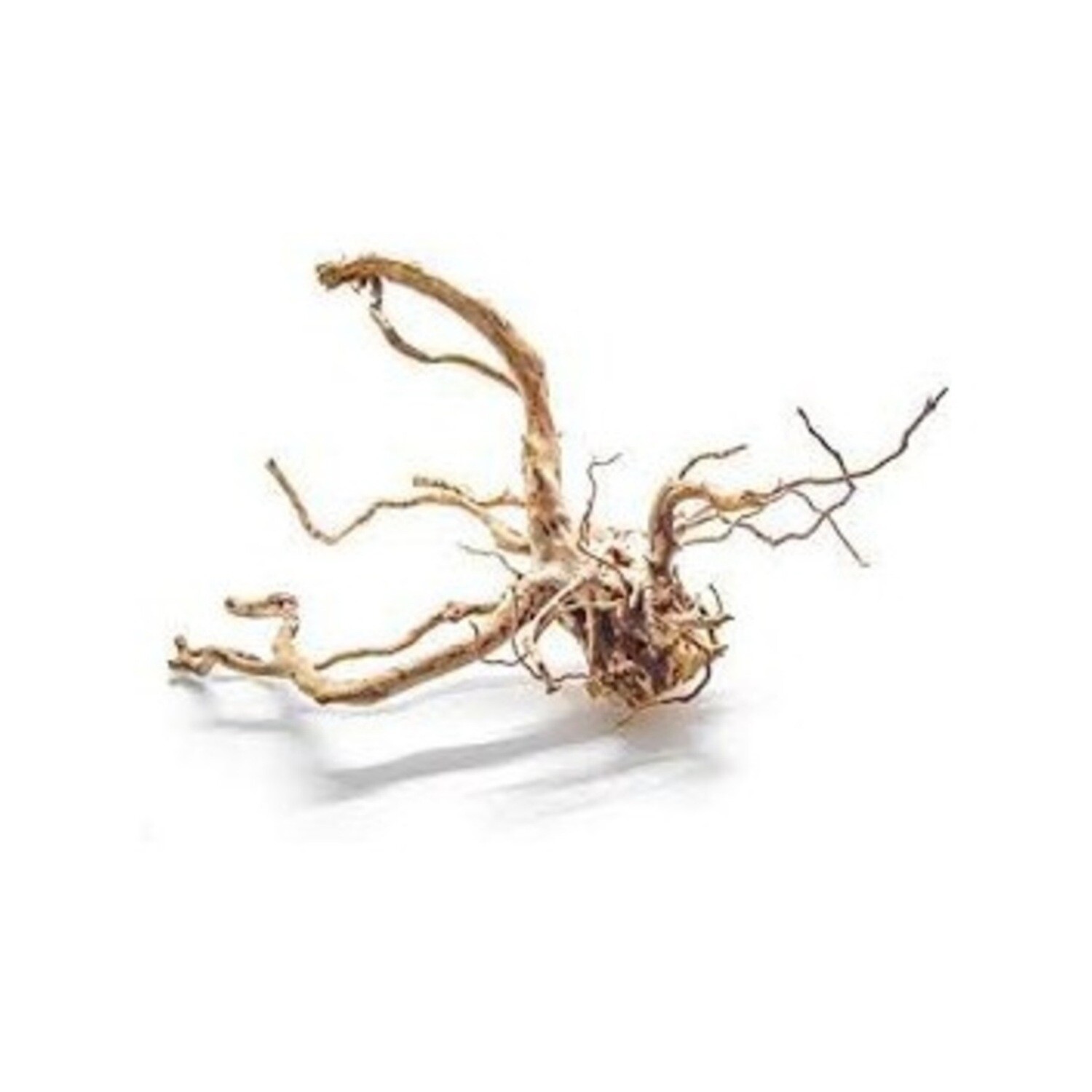 Aquaglobe Spider Wood