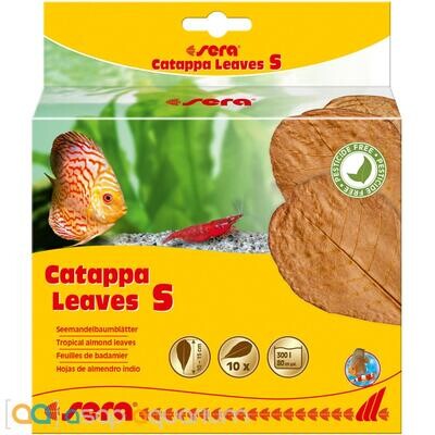 Sera Catappa Leaves 10pcs, Size: Small 14 cm