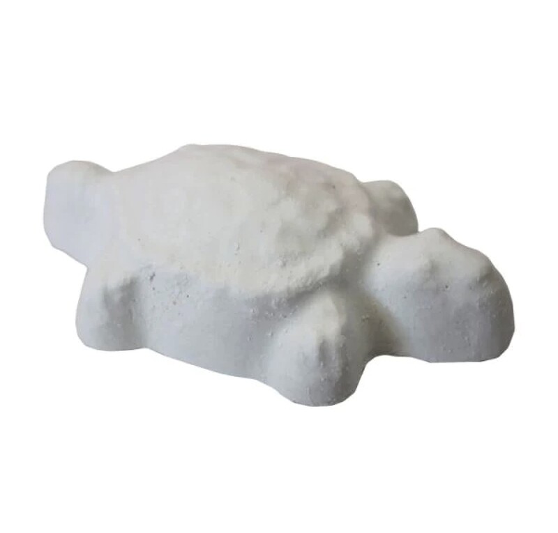 Versele Laga Turtle Calcium &amp; Neutralizer Block