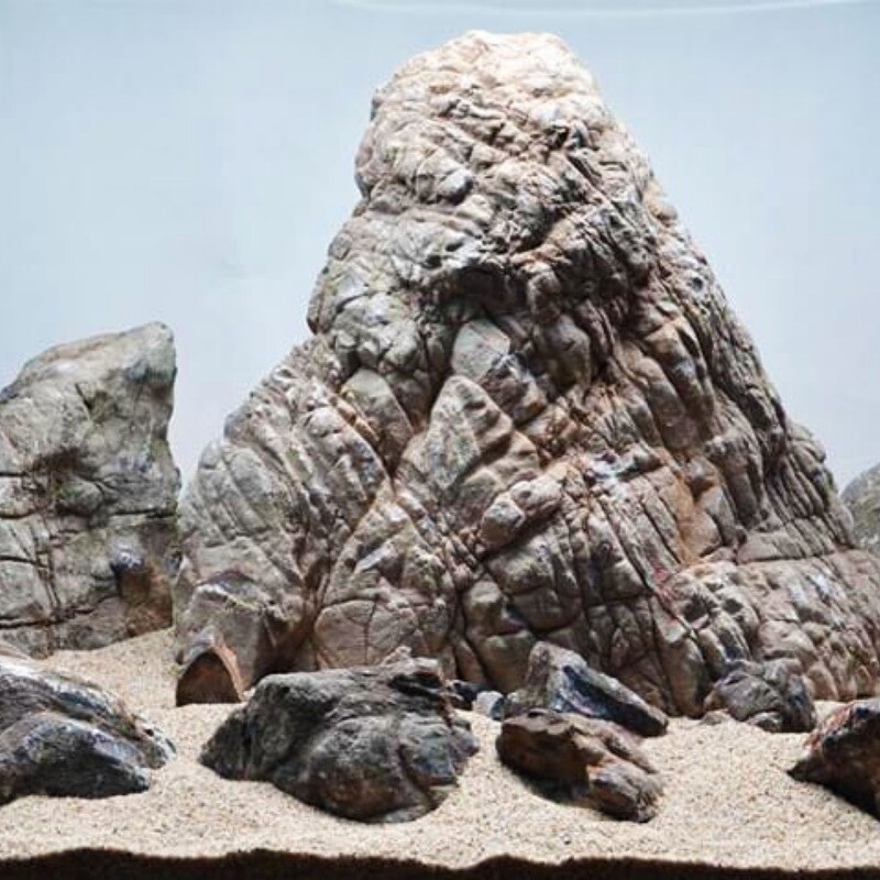Elephant Skin Rock