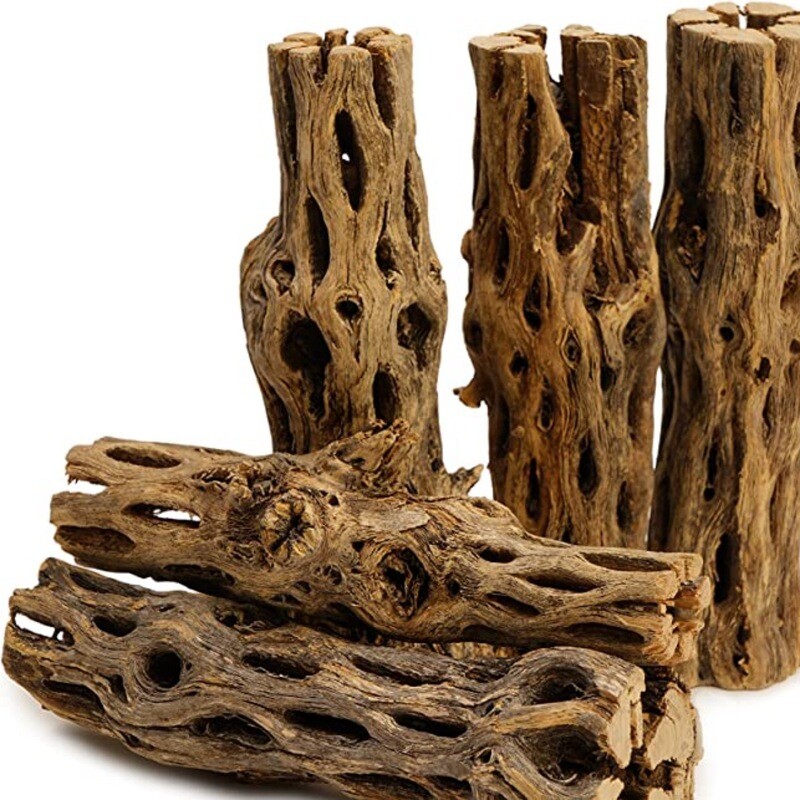 Cholla Wood