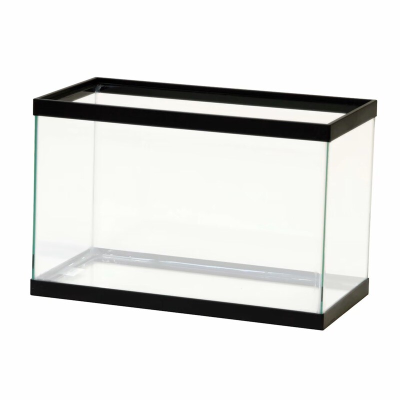 Aquarium Standard Rectangle Black Trim 5.5gl
