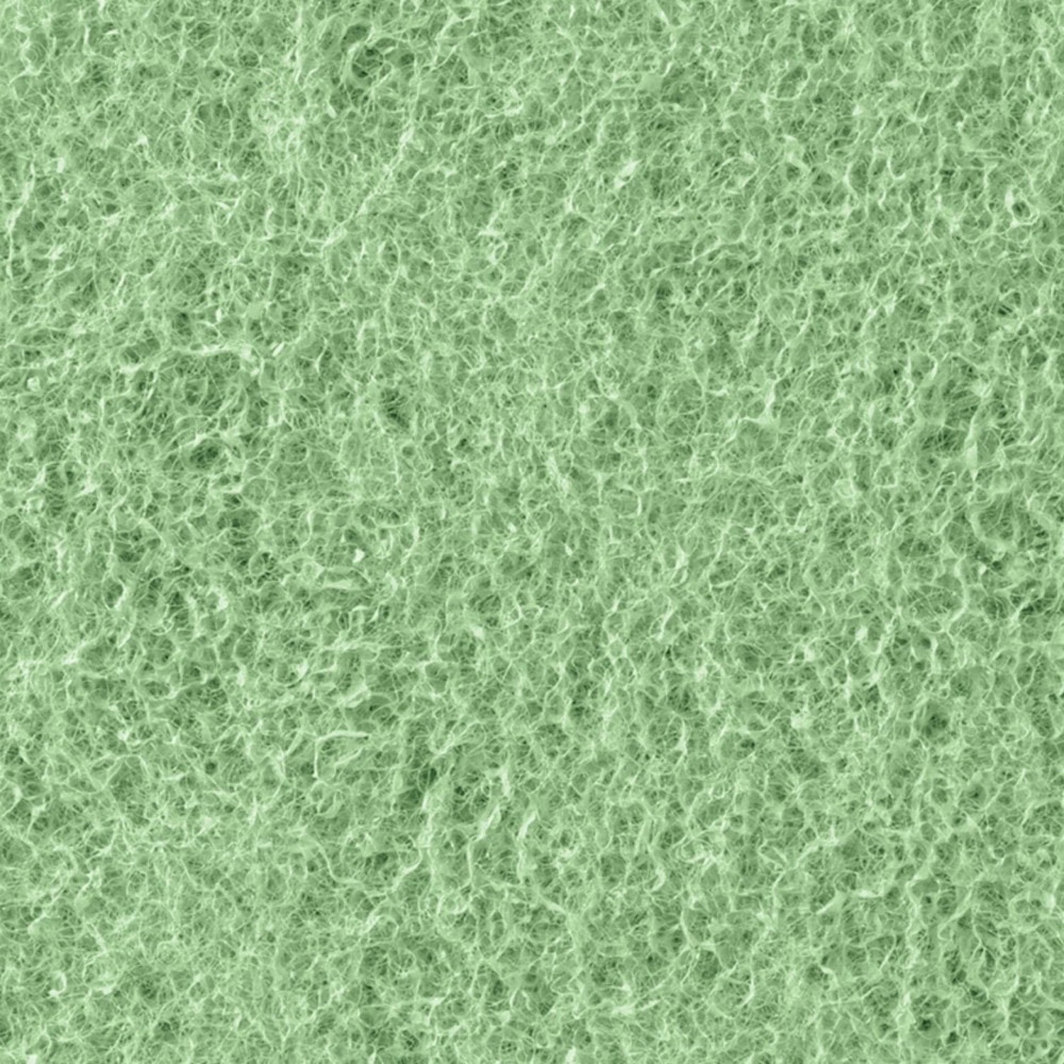 Phosphate Remover Pad