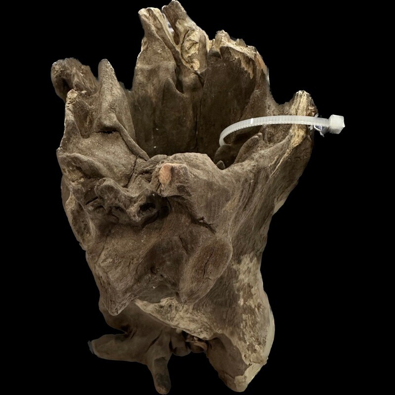 Aquaglobe Stump Wood