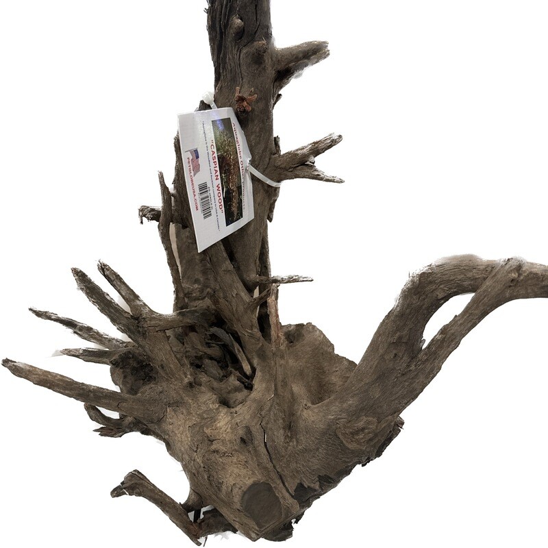 Aquaglobe Janglewood