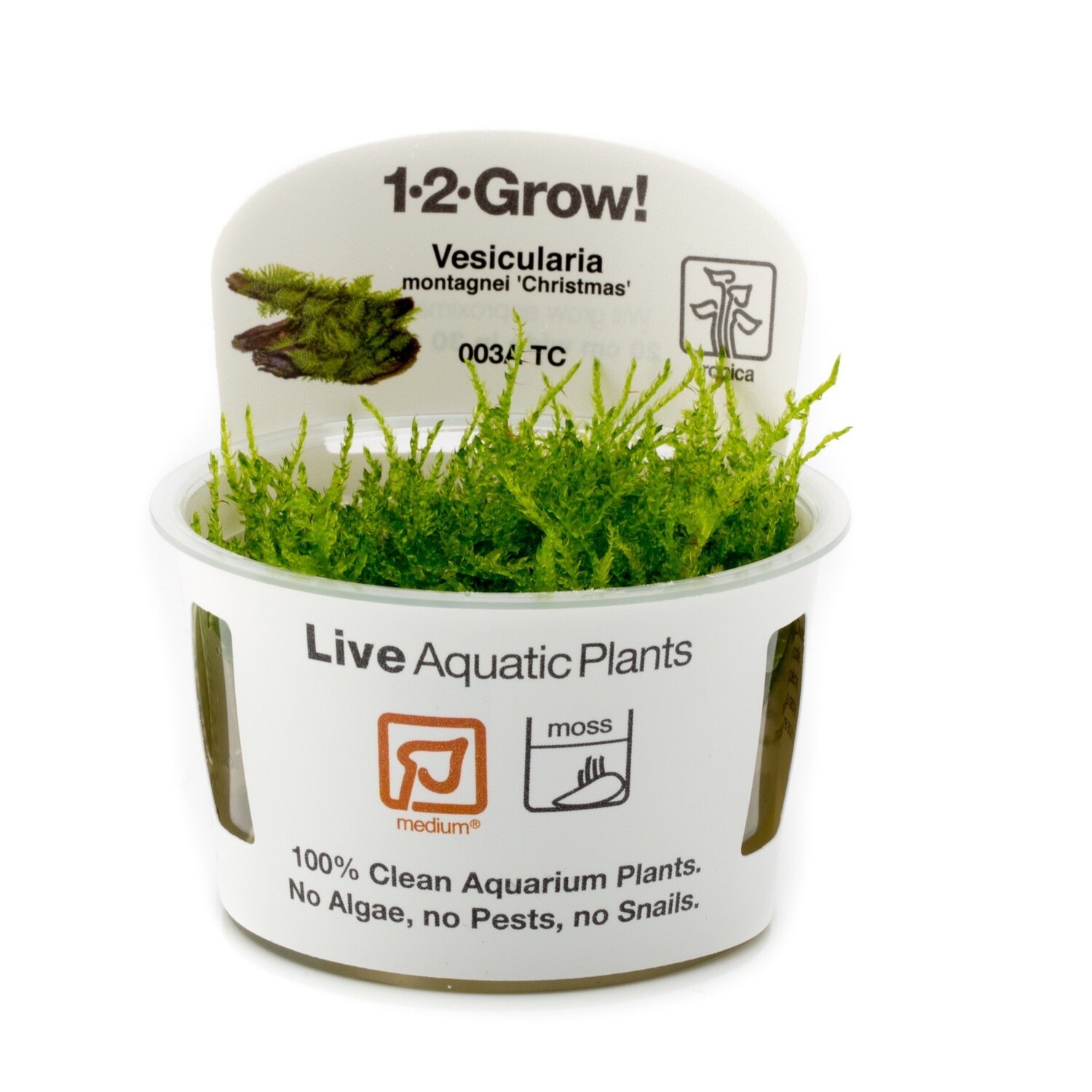 Tropica Vesicularia montagnei &#39;Christmas Moss&#39; 1-2-Grow!