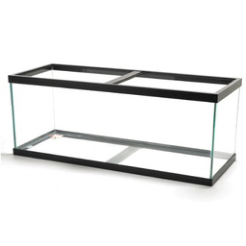 Aquarium Standard Rectangle Black Trim 40gl breeder