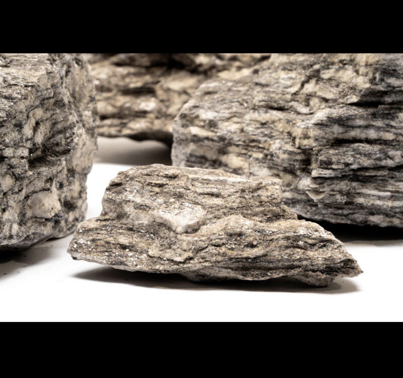 Petrified Stone rock