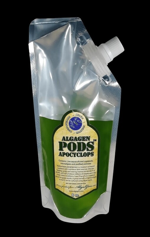 AlgaGen Pods Apocyclops