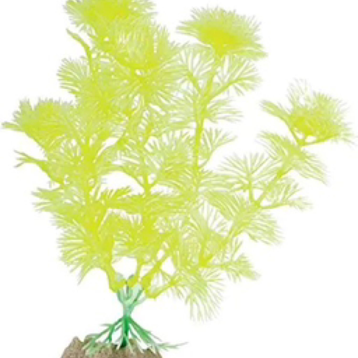 Glofish Plant medium Yellow Fluorescent