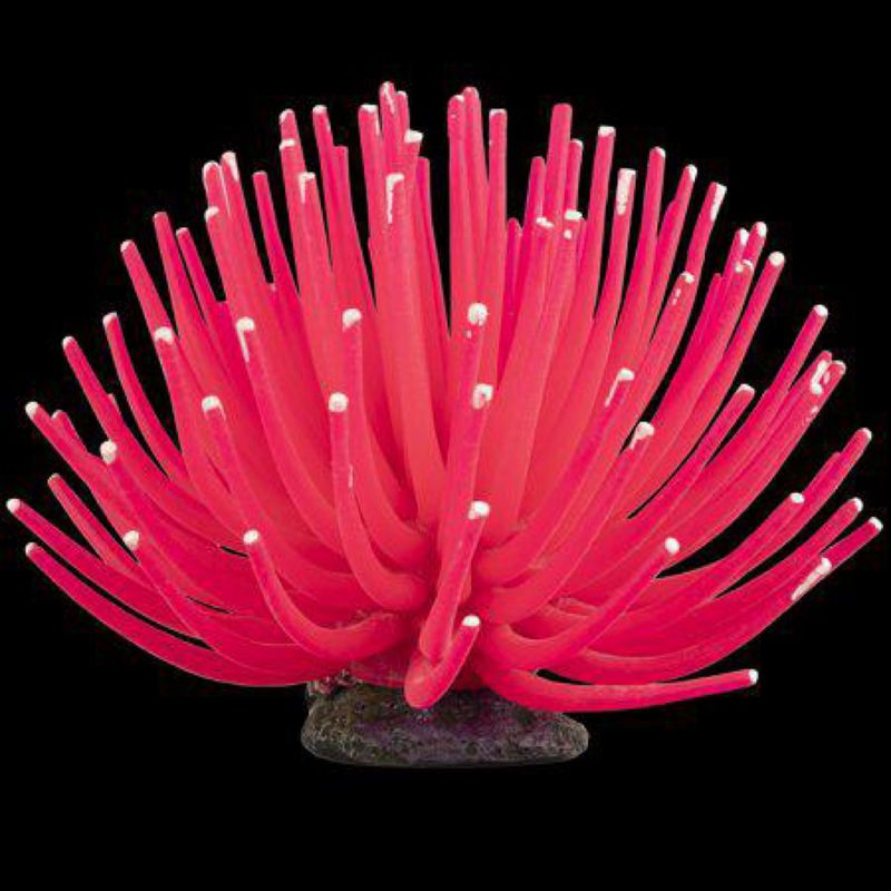 Glofish Ornament Pink Anemone