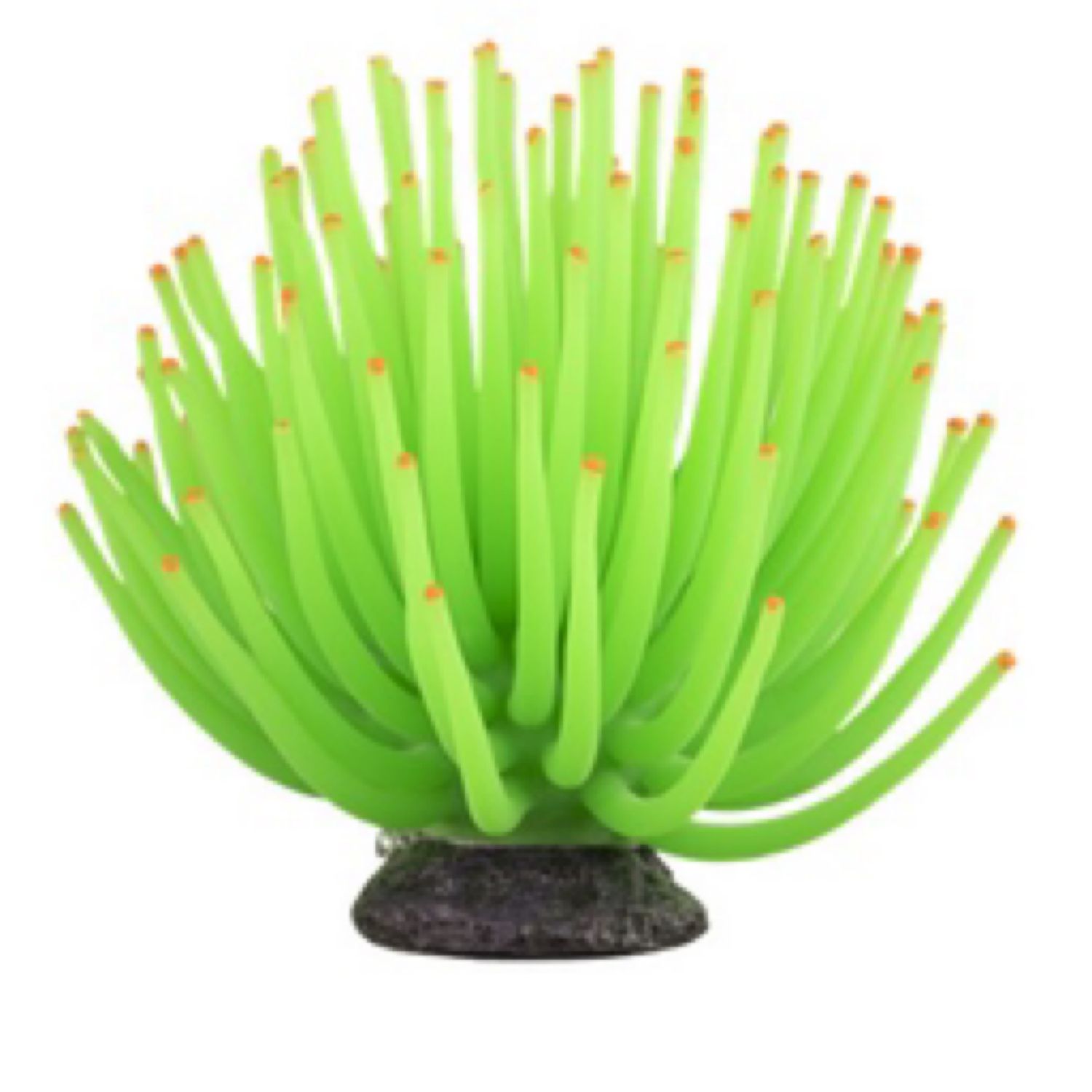 Glofish Ornament Green Anemone