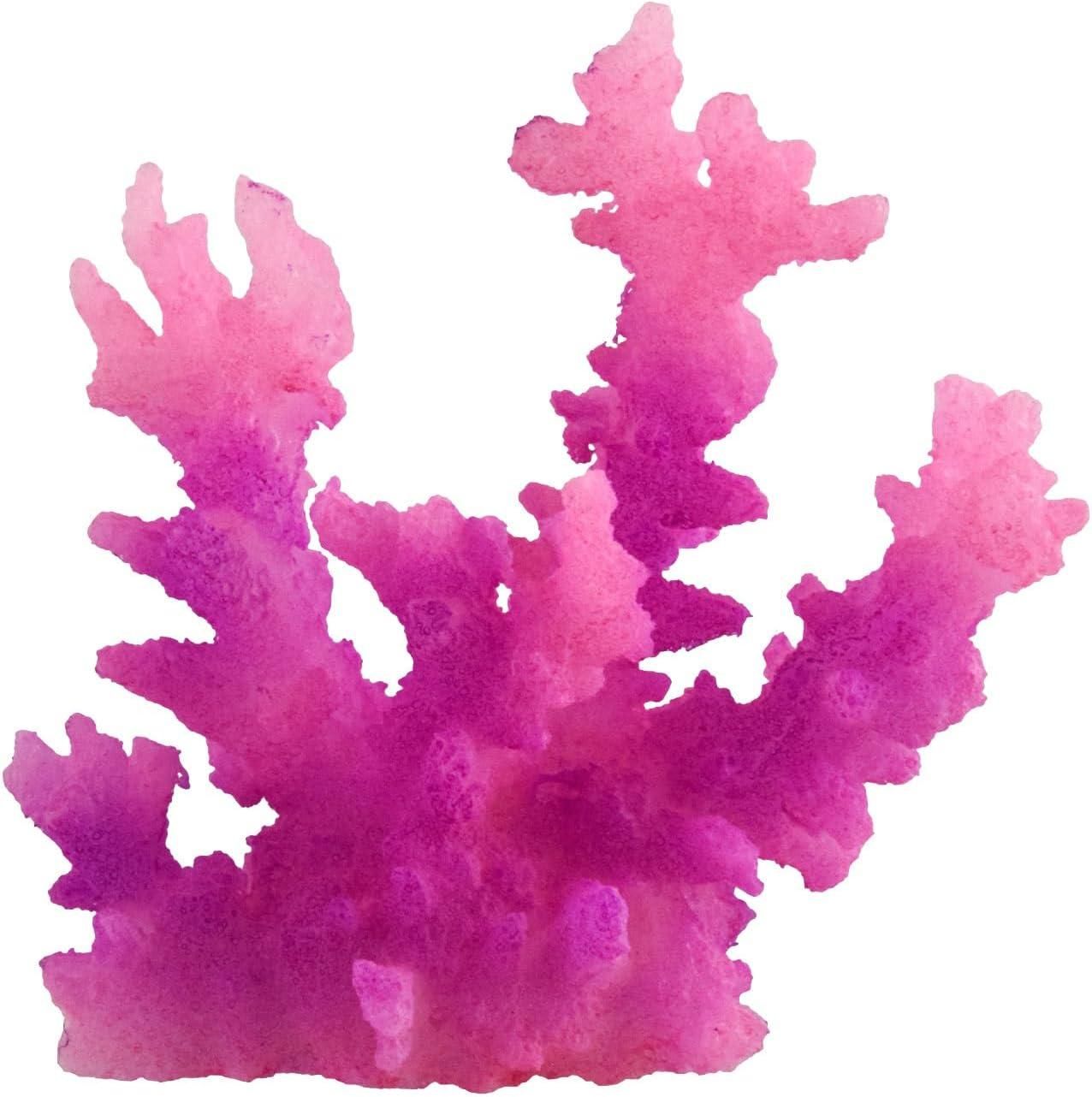 Underwater Treasures Purple Acro