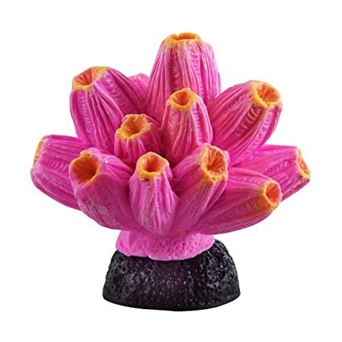 Underwater Treasures Barnacle - Pink/Yellow
